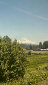 Amtrak Mountain View