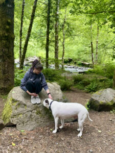 Camping Tillamook Forest