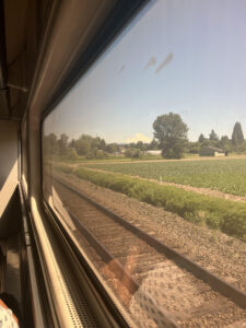 Mount Rainer Amtrak