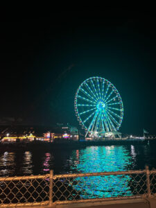 Seattle Great Wheel at night