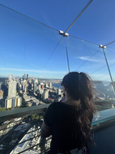 Top of the Space Needle