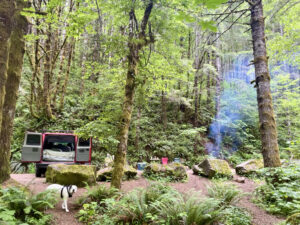 Tillamook Forest Campsite